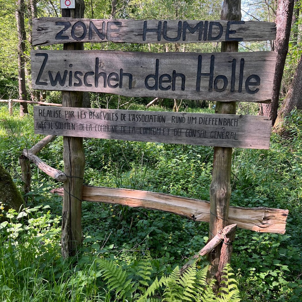 Sentier De Découvertes 1